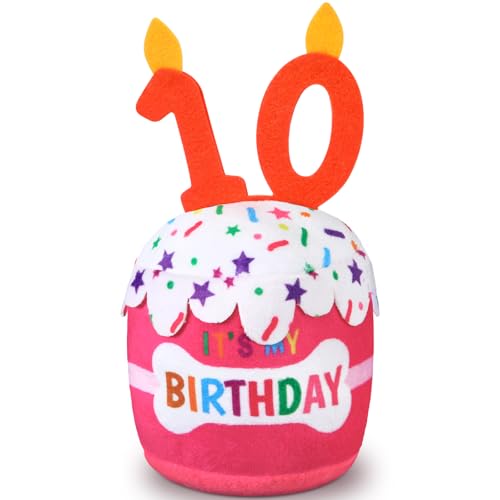 Dansydaisy Hundespielzeug zum 10. Geburtstag, Zubehör für Mädchen und Jungen, quietschendes Plüschspielzeug für Hunde, Geburtstagsparty, Dekoration, Gastgeschenk für große, mittelgroße und kleine Dansydaisy Hundespielzeug zum 10. Geburtstag, Zubehör für Mädchen und Jungen, quietschendes Plüschspielzeug für Hunde, Geburtstagsparty, Dekoration, Gastgeschenk für große, mittelgroße und kleine von Dansydaisy