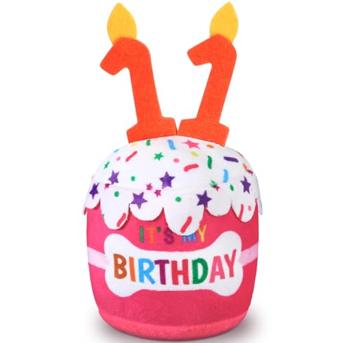 Dansydaisy Hundespielzeug zum 11. Geburtstag, Zubehör für Mädchen und Jungen, quietschendes Plüschspielzeug für Hunde, Geburtstagsparty, Dekoration, Gastgeschenk für große, mittelgroße und kleine Dansydaisy Hundespielzeug zum 11. Geburtstag, Zubehör für Mädchen und Jungen, quietschendes Plüschspielzeug für Hunde, Geburtstagsparty, Dekoration, Gastgeschenk für große, mittelgroße und kleine von Dansydaisy