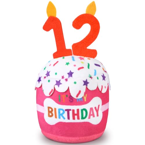Dansydaisy Hundespielzeug zum 12. Geburtstag, Zubehör für Mädchen und Jungen, quietschendes Plüschspielzeug für Hunde, Geburtstagsparty, Dekoration, Gastgeschenk für große, mittelgroße und kleine Dansydaisy Hundespielzeug zum 12. Geburtstag, Zubehör für Mädchen und Jungen, quietschendes Plüschspielzeug für Hunde, Geburtstagsparty, Dekoration, Gastgeschenk für große, mittelgroße und kleine von Dansydaisy