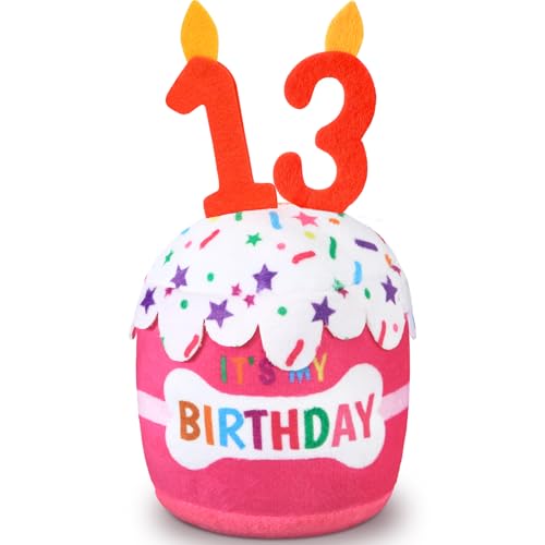 Dansydaisy Hundespielzeug zum 13. Geburtstag, Zubehör für Mädchen und Jungen, quietschendes Plüschspielzeug für Hunde, Geburtstagsparty, Dekoration, Gastgeschenk für große, mittelgroße und kleine Dansydaisy Hundespielzeug zum 13. Geburtstag, Zubehör für Mädchen und Jungen, quietschendes Plüschspielzeug für Hunde, Geburtstagsparty, Dekoration, Gastgeschenk für große, mittelgroße und kleine von Dansydaisy