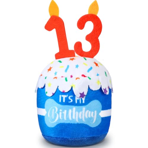 Dansydaisy Hundespielzeug zum 13. Geburtstag, Zubehör für Mädchen und Jungen, quietschendes Plüschspielzeug für Hunde, Geburtstagsparty, Dekoration, Gastgeschenk für große, mittelgroße und kleine Dansydaisy Hundespielzeug zum 13. Geburtstag, Zubehör für Mädchen und Jungen, quietschendes Plüschspielzeug für Hunde, Geburtstagsparty, Dekoration, Gastgeschenk für große, mittelgroße und kleine von Dansydaisy