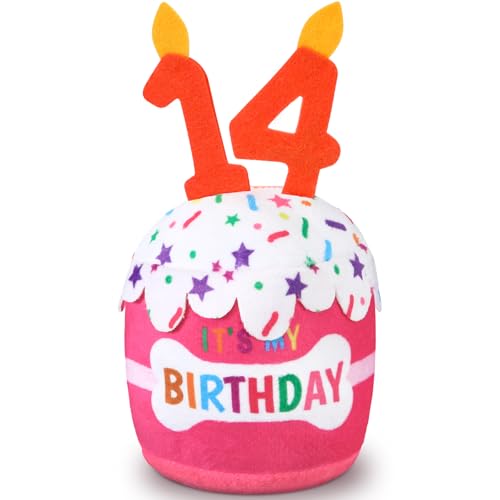Dansydaisy Hundespielzeug zum 14. Geburtstag, Zubehör für Mädchen und Jungen, quietschendes Plüschspielzeug für Hunde, Geburtstagsparty, Dekoration, Gastgeschenk für große, mittelgroße und kleine von Dansydaisy