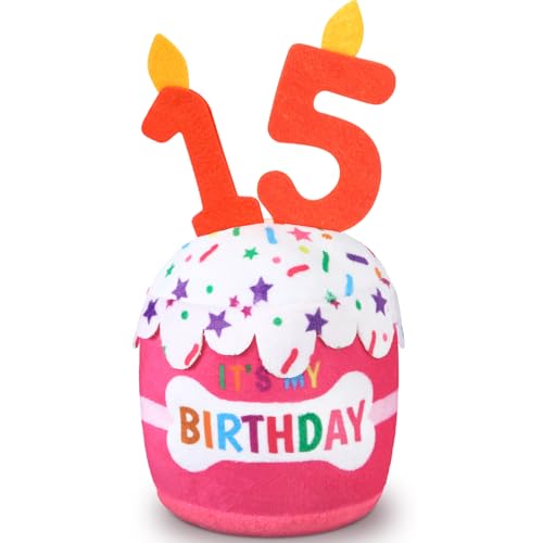 Dansydaisy Hundespielzeug zum 15. Geburtstag, Zubehör für Mädchen und Jungen, quietschendes Plüschspielzeug für Hunde, Geburtstagsparty, Dekoration, Gastgeschenk für große, mittelgroße und kleine von Dansydaisy