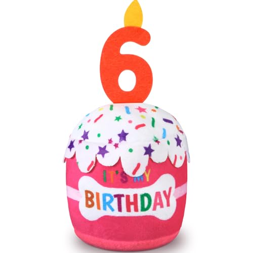 Dansydaisy Hundespielzeug zum 6. Geburtstag, Zubehör für Mädchen und Jungen, quietschendes Plüschspielzeug für Hunde, Geburtstagsparty, Dekoration, Gastgeschenk für große, mittelgroße und kleine Hunde Dansydaisy Hundespielzeug zum 6. Geburtstag, Zubehör für Mädchen und Jungen, quietschendes Plüschspielzeug für Hunde, Geburtstagsparty, Dekoration, Gastgeschenk für große, mittelgroße und kleine Hunde von Dansydaisy