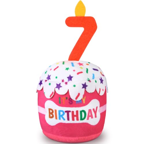 Dansydaisy Hundespielzeug zum 7. Geburtstag, Zubehör für Mädchen und Jungen, quietschendes Plüschspielzeug für Hunde, Geburtstagsparty, Dekoration, Gastgeschenk für große, mittelgroße und kleine Hunde Dansydaisy Hundespielzeug zum 7. Geburtstag, Zubehör für Mädchen und Jungen, quietschendes Plüschspielzeug für Hunde, Geburtstagsparty, Dekoration, Gastgeschenk für große, mittelgroße und kleine Hunde von Dansydaisy
