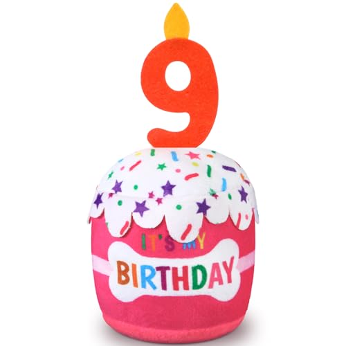 Dansydaisy Hundespielzeug zum 9. Geburtstag, Zubehör für Mädchen und Jungen, quietschendes Plüschspielzeug für Hunde, Geburtstagsparty, Dekoration, Gastgeschenk für große, mittelgroße und kleine Hunde Dansydaisy Hundespielzeug zum 9. Geburtstag, Zubehör für Mädchen und Jungen, quietschendes Plüschspielzeug für Hunde, Geburtstagsparty, Dekoration, Gastgeschenk für große, mittelgroße und kleine Hunde von Dansydaisy