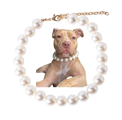 Daovace Hundehalsband mit Perlen, handgefertigt, ausgefallenes Hundehalsband mit Glöckchen, Schmuck für kleine Hunde und Welpen Daovace Hundehalsband mit Perlen, handgefertigt, ausgefallenes Hundehalsband mit Glöckchen, Schmuck für kleine Hunde und Welpen von Daovace