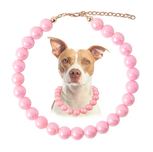 Daovace Perlenhalsband, handgefertigt, ausgefallenes Hundehalsband mit Glöckchen, Halskette für kleine Hunde, Welpen (45,7 cm + 7,6 cm, Creme-Rosa Daovace Perlenhalsband, handgefertigt, ausgefallenes Hundehalsband mit Glöckchen, Halskette für kleine Hunde, Welpen (45,7 cm + 7,6 cm, Creme-Rosa von Daovace