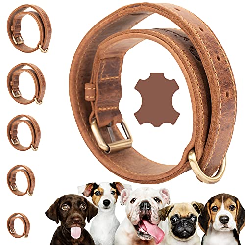 Darcis Hundehalsband Braun - Extrem Robustes Lederhalsband aus hochwertigem Rindsleder - Ideal für Starke Hunde - Halsband Hund - Hundehalsband Leder - Lederhalsband Hund - 45-52,5 cm Halsumfang von Darcis