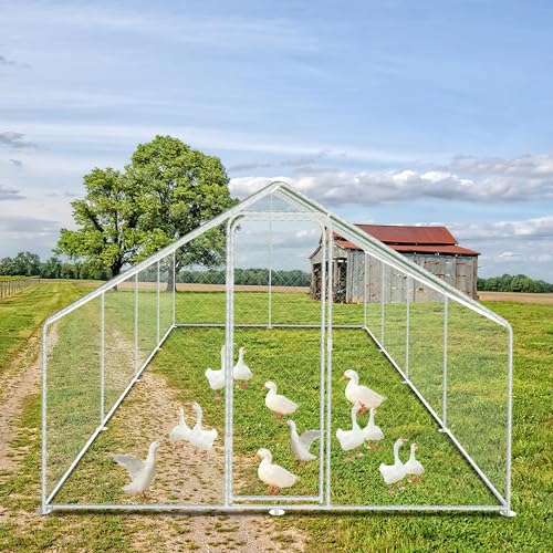 Daromigo Hühnerstall Freilaufgehege, 3x8x2m mit Sicherheitsschloss und Wasserdichtes PE-Farbtuch, Schnell zu reinigen, Freigehege für Hühner,Vogelkäfig, Kleintiere & Pflanzen Daromigo Hühnerstall Freilaufgehege, 3x8x2m mit Sicherheitsschloss und Wasserdichtes PE-Farbtuch, Schnell zu reinigen, Freigehege für Hühner,Vogelkäfig, Kleintiere & Pflanzen von Daromigo