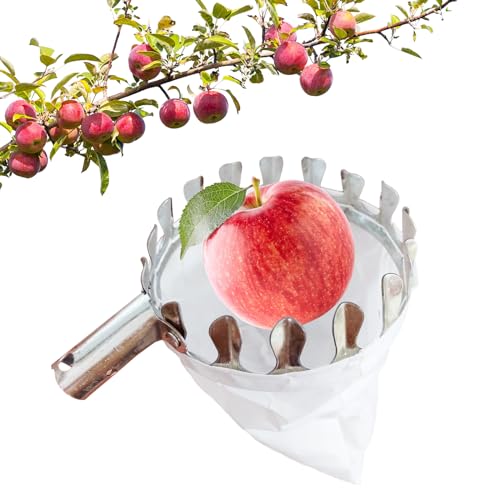 Darryy Obstpflücker mit Stoffbeutel (Ø16 cm), Birnenpflücker, Apfelpflücker, Landwirtschaftliches Gartenzubehör für die Ernte von Äpfeln, Orangen, Pfirsichen, Birnen und Kirschen von Darryy