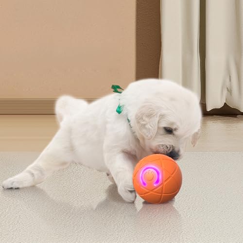 Dasbsug Hundespielzeug, interaktiv, wiederaufladbar, für Haustiere, ermutigende Bewegung und Outdoor-Spielspaß, Hüpfspielzeug, Springen für Haustiere Dasbsug Hundespielzeug, interaktiv, wiederaufladbar, für Haustiere, ermutigende Bewegung und Outdoor-Spielspaß, Hüpfspielzeug, Springen für Haustiere von Dasbsug