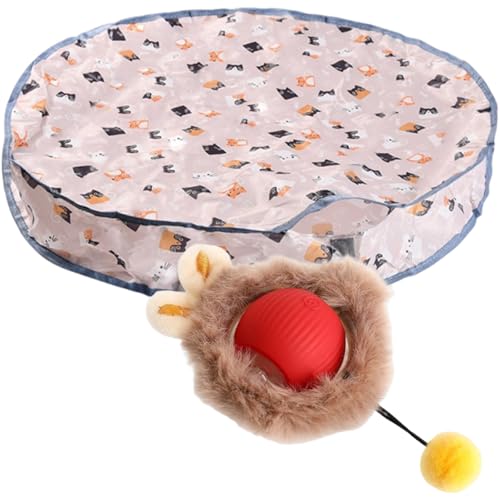 Dasbsug Interaktives Katzenspielzeug-Set mit abnehmbarem Teaser mit großen Matten für Indoor-Übung und geistige Stimulation, abnehmbares Katzenspielzeug von Dasbsug