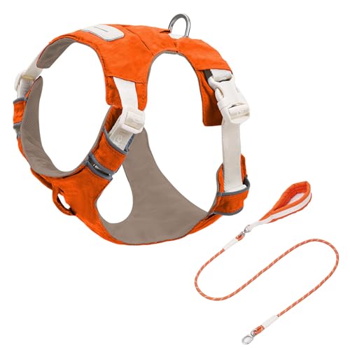 Reflektierendes, verstellbares Hundegeschirr und Set mit weicher Polsterung, atmungsaktive Weste für Spaziergänge im Freien, Laufen, Nylon-Hundeweste, Leinen-Set Reflektierendes, verstellbares Hundegeschirr und Set mit weicher Polsterung, atmungsaktive Weste für Spaziergänge im Freien, Laufen, Nylon-Hundeweste, Leinen-Set von Dasbsug