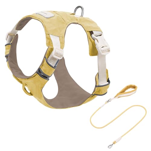 Reflektierendes, verstellbares Hundegeschirr und Set mit weicher Polsterung, atmungsaktive Weste für Spaziergänge im Freien, Laufen, Nylon-Hundeweste, Leinen-Set von Dasbsug