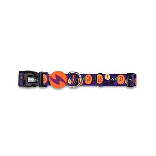 Dashi Pumpkin Halsband (S) von Dashi