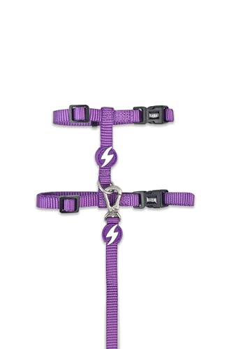 EEXDMX Thermal Insulated Blackout von Dashi