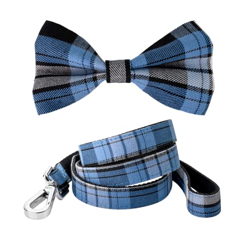 Hundehalsband und Leine, Schottenkaro-Hundehalsband mit Fliege, blaues kariertes Hundehalsband mit Fliege, schottisches Tartan-Hundehalsband (hellblau, mittel) von Dashin' Dogz