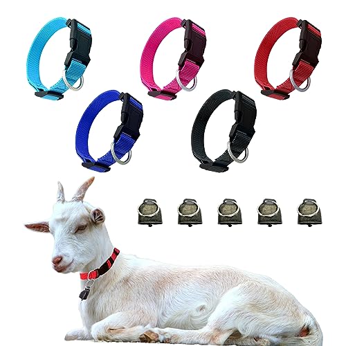 Dasiyoki 5 Stück Ziegenhalsband, Ziegenhalsband mit Glocke Haustier Weiden Kupferglocken, Verstellbar und Langlebig Nylon Kuh Pferd Schaf Hundehalsbänder, Anti-Verlust Bronze Glocke Zubehör für kleine Dasiyoki 5 Stück Ziegenhalsband, Ziegenhalsband mit Glocke Haustier Weiden Kupferglocken, Verstellbar und Langlebig Nylon Kuh Pferd Schaf Hundehalsbänder, Anti-Verlust Bronze Glocke Zubehör für kleine von Dasiyoki