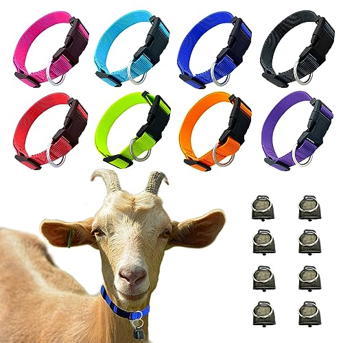 Dasiyoki 8 Stück Ziegenhalsband, Ziegenhalsband mit Glocke Haustier Weiden Kupferglocken, Verstellbar und Langlebig Nylon Kuh Pferd Schaf Hundehalsbänder, Anti-Verlust Bronze Glocke Zubehör für kleine Dasiyoki 8 Stück Ziegenhalsband, Ziegenhalsband mit Glocke Haustier Weiden Kupferglocken, Verstellbar und Langlebig Nylon Kuh Pferd Schaf Hundehalsbänder, Anti-Verlust Bronze Glocke Zubehör für kleine von Dasiyoki