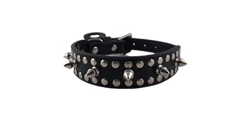 PetStar Halsband für Hunde, Lederoptik, für Rechtshänder, Halsband mit Nieten, Haustierzubehör, Größe S (schwarz) von DataPrice
