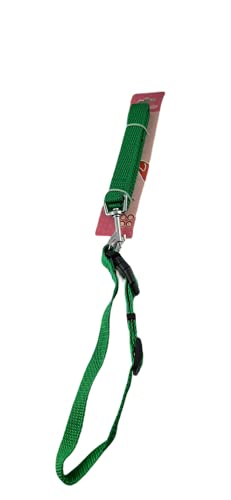 Set mit Halsband und Leine für Ihr Haustier. Grünes Nylonband 115 cm und verstellbares Halsband. von DataPrice