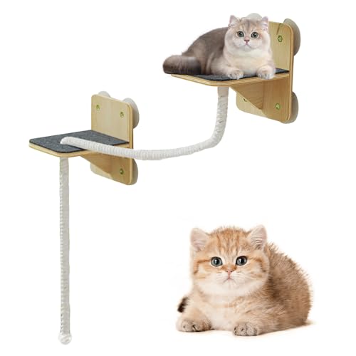 Davivian Katzen Wandregale | Indoor Kletterwand Mit Kratzpfosten - Natürliche Kratz- und Ruheflächen mit Treppen für Spiel und Entspannung im Haushalt an Fenstern Türen und Davivian Katzen Wandregale | Indoor Kletterwand Mit Kratzpfosten - Natürliche Kratz- und Ruheflächen mit Treppen für Spiel und Entspannung im Haushalt an Fenstern Türen und von Davivian