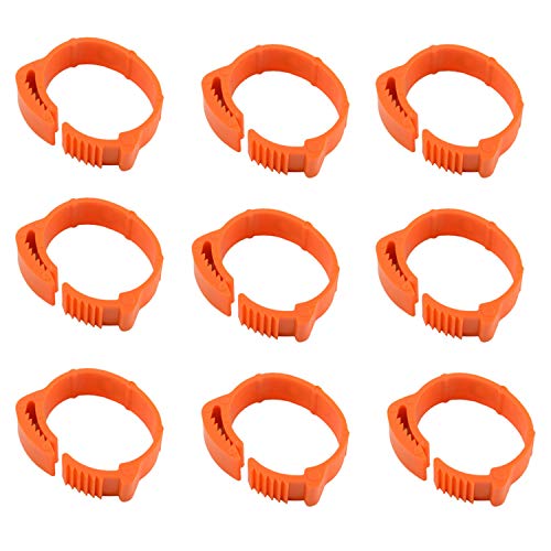 Daweglop 100 StüCke HäHnchen Identifikation BeinbäNder Etikette GeflüGelbeinbäNder VogelbeinbäNder EntenbeinbäNder Ring Klipps Daweglop 100 StüCke HäHnchen Identifikation BeinbäNder Etikette GeflüGelbeinbäNder VogelbeinbäNder EntenbeinbäNder Ring Klipps von Daweglop
