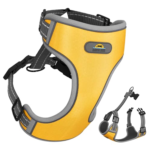 Dawn Dog XL-Hundegeschirr mit sicherem Verschlussclip, weich und gepolstert, Y-förmiges Design mit Anti-Würge-Passform, extra reflektierend für bessere Sichtbarkeit und Sicherheit, ausbruchsicher, von Dawn Dog