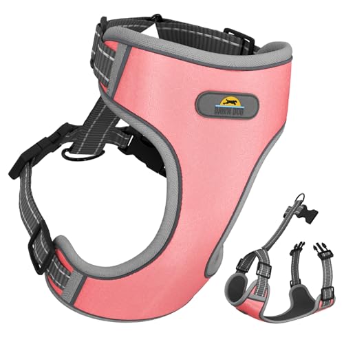 Dawn Dog Hundegeschirr mit sicherem Verschlussclip, weich und gepolstert, Y-förmiges Design ohne Würgen, extra reflektierend für mehr Sichtbarkeit und Sicherheit, verstellbar, leicht, Rosa, Größe M Dawn Dog Hundegeschirr mit sicherem Verschlussclip, weich und gepolstert, Y-förmiges Design ohne Würgen, extra reflektierend für mehr Sichtbarkeit und Sicherheit, verstellbar, leicht, Rosa, Größe M von Dawn Dog