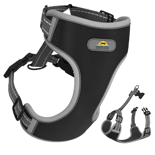 Dawn Dog XL-Hundegeschirr mit sicherem Verschlussclip, weich und gepolstert, Y-förmiges Design mit Anti-Würge-Passform, extra reflektierend für bessere Sichtbarkeit und Sicherheit, ausbruchsicher Dawn Dog XL-Hundegeschirr mit sicherem Verschlussclip, weich und gepolstert, Y-förmiges Design mit Anti-Würge-Passform, extra reflektierend für bessere Sichtbarkeit und Sicherheit, ausbruchsicher von Dawn Dog