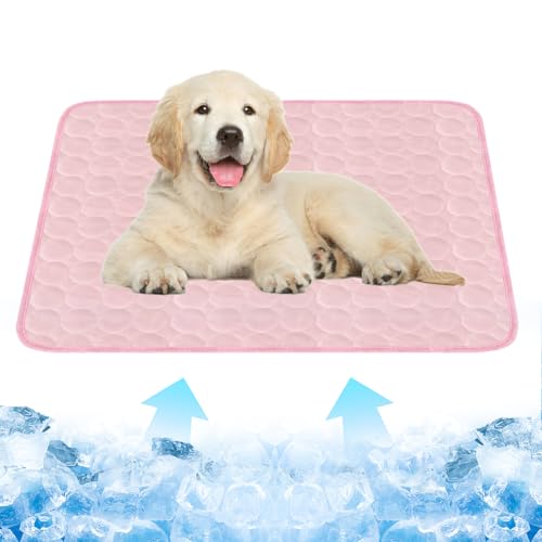 Dawumin Kühlmatte Hund, Kühldecke Hund, Kühlmatte für Hunde und Katzen, Selbstkühlende Hundematte mit Gel, Haustier-Kühlmatte für Zuhause Unterwegs oder im Auto, Größe (70 x 55 cm) (Rosa, L) von Dawumin