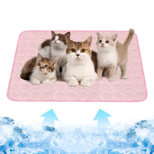Dawumin Kühlmatte Hund, Kühldecke Hund, Kühlmatte für Hunde und Katzen, Selbstkühlende Hundematte mit Gel, Haustier-Kühlmatte für Zuhause Unterwegs oder im Auto, Größe (60 x 50 cm) (Rosa, M) von Dawumin