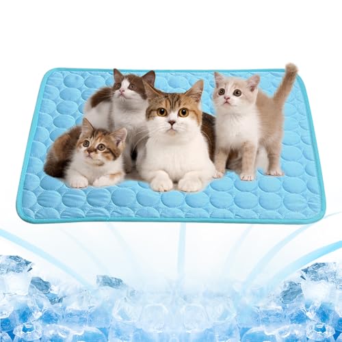 Dawumin Kühlmatte Hund, Kühldecke Hund, Kühlmatte für Hunde und Katzen, Selbstkühlende Hundematte mit Gel, Haustier-Kühlmatte für Zuhause Unterwegs oder im Auto, Größe (60 x 50 cm) (Blau, M) von Dawumin