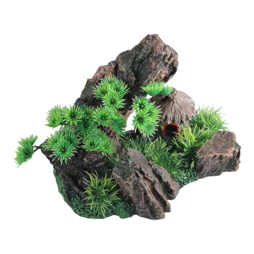Dawutocap Gebirgsaquarium Dekorationsanzug Terrarien Naturpflanzenaquarium Versorgungsmaterial Für Naturaquarium Umwelt Dawutocap Gebirgsaquarium Dekorationsanzug Terrarien Naturpflanzenaquarium Versorgungsmaterial Für Naturaquarium Umwelt von Dawutocap