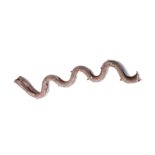 Dawutocap Natürliche Reptilien Eckast Kletterranke Rattanrebe für Terrarien dekorative Pflanze Rattanstock für Eidechsen Schlange Dawutocap Natürliche Reptilien Eckast Kletterranke Rattanrebe für Terrarien dekorative Pflanze Rattanstock für Eidechsen Schlange von Dawutocap