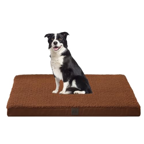 DaysU Großes Hundebett für große Hunde, orthopädische Hundebetten mit abnehmbarem, waschbarem Bezug, Eierkisten-Schaumstoff-Haustierbett-Matte, Flachsbraun, geeignet für Hunde bis zu 180 kg, 91,4 x DaysU Großes Hundebett für große Hunde, orthopädische Hundebetten mit abnehmbarem, waschbarem Bezug, Eierkisten-Schaumstoff-Haustierbett-Matte, Flachsbraun, geeignet für Hunde bis zu 180 kg, 91,4 x von DaysU
