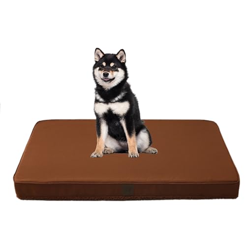 DaysU Hundebett für kleine Hunde, orthopädische Hundebetten mit abnehmbarem, waschbarem Bezug, kleine Eierkisten-Schaumstoff-Haustierbettmatte, Flachsbraun, geeignet für Hunde bis zu 9 kg, 76,2 x 50,8 DaysU Hundebett für kleine Hunde, orthopädische Hundebetten mit abnehmbarem, waschbarem Bezug, kleine Eierkisten-Schaumstoff-Haustierbettmatte, Flachsbraun, geeignet für Hunde bis zu 9 kg, 76,2 x 50,8 von DaysU