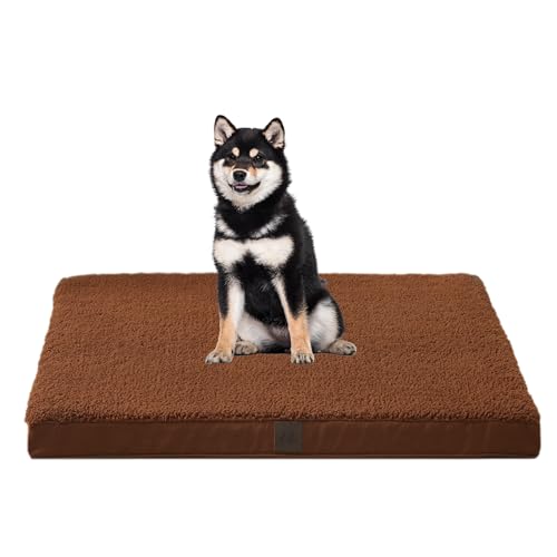 DaysU Hundebett für mittelgroße Hunde, orthopädische Hundebetten mit abnehmbarem, waschbarem Bezug, mittlere Eierkisten-Schaumstoff-Haustierbettmatte, Flachsbraun, geeignet für Hunde bis 10 kg, 88,9 x DaysU Hundebett für mittelgroße Hunde, orthopädische Hundebetten mit abnehmbarem, waschbarem Bezug, mittlere Eierkisten-Schaumstoff-Haustierbettmatte, Flachsbraun, geeignet für Hunde bis 10 kg, 88,9 x von DaysU