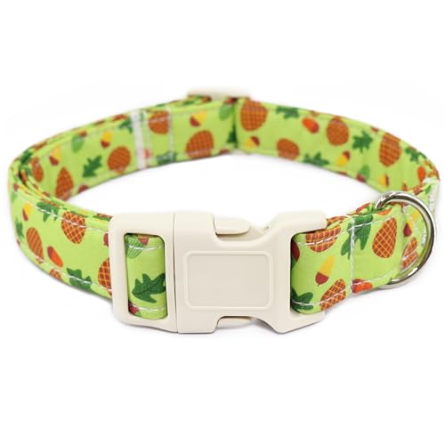 Hundehalsband für Herbst und Herbst, Grün, Tannenzapfen, Haustierhalsband mit Schnellverschluss-Schnalle, bequem, verstellbar, Welpenhalsband für weibliche Mädchen, Jungen, kleine, mittelgroße und Hundehalsband für Herbst und Herbst, Grün, Tannenzapfen, Haustierhalsband mit Schnellverschluss-Schnalle, bequem, verstellbar, Welpenhalsband für weibliche Mädchen, Jungen, kleine, mittelgroße und von Dayume