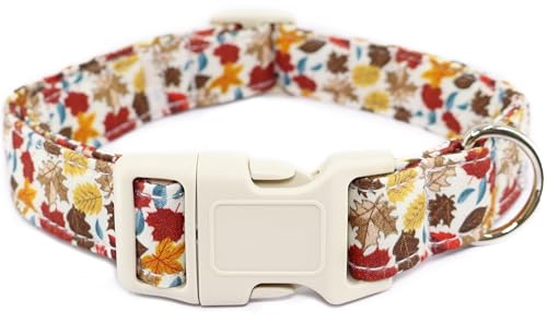 Hundehalsband für Herbst und Herbst, weißes Ahornblatt, Haustierhalsband mit Schnellverschluss-Schnalle, bequem, verstellbar, Welpenhalsband für weibliche Mädchen, Jungen, kleine, mittelgroße und Hundehalsband für Herbst und Herbst, weißes Ahornblatt, Haustierhalsband mit Schnellverschluss-Schnalle, bequem, verstellbar, Welpenhalsband für weibliche Mädchen, Jungen, kleine, mittelgroße und von Dayume