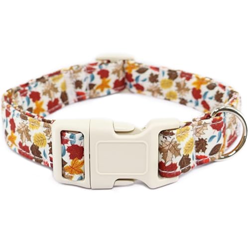 Hundehalsband für Herbst und Herbst, weißes Ahornblatt, Haustierhalsband mit Schnellverschluss-Schnalle, bequem, verstellbar, Welpenhalsband für weibliche Mädchen, Jungen, kleine, mittelgroße und von Dayume
