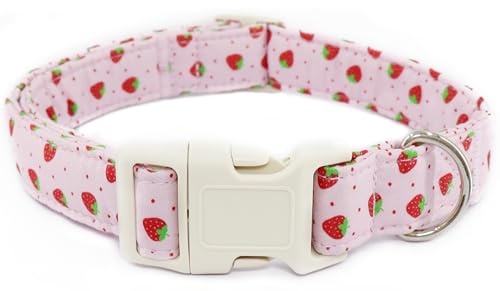 Strawberry Hundehalsband für mittelgroße Hunde, niedlich, verstellbar, für Jungen und Mädchen, für den Sommer, Welpenhalsband mit Schnellverschluss-Schnalle, gepunktet, Erdbeere-M Strawberry Hundehalsband für mittelgroße Hunde, niedlich, verstellbar, für Jungen und Mädchen, für den Sommer, Welpenhalsband mit Schnellverschluss-Schnalle, gepunktet, Erdbeere-M von Dayume