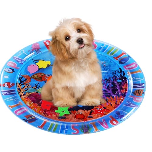 Dayysiuy Katzen Sinnes Wasser Matte - Katzen Kühlmatte Wasserbett Spielmatte - Beschäftigungsspielzeug Wasserbett Für Kätzchen Und Welpen Für Innenbereich & Balkon von Dayysiuy