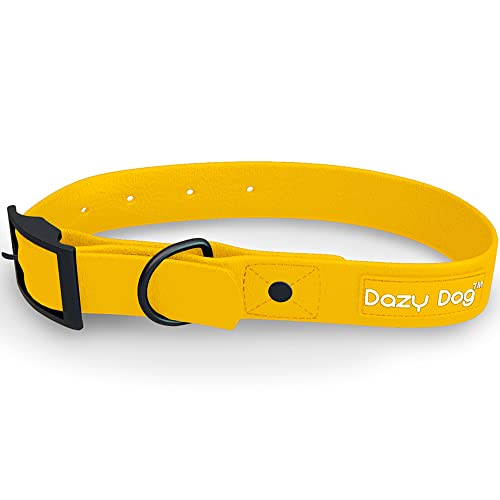 Dazy Dog Dura Allwetter-Halsband – langlebig – wasserdicht – geruchsfrei – stärker als Leder – leicht zu reinigen – hohe Leistung – Designer (groß, gelb) von Dazy Dog