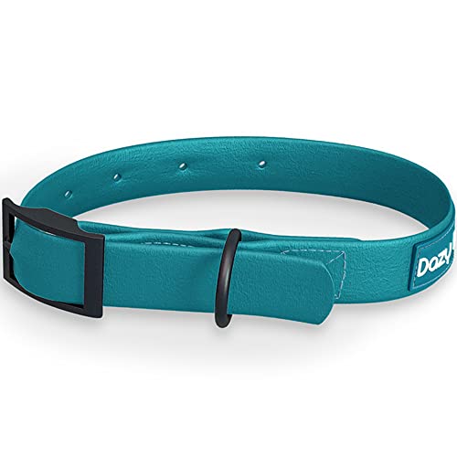 Dazy Dog Dura Allwetter-Halsband – langlebig – wasserdicht – geruchsfrei – stärker als Leder – leicht zu reinigen – hohe Leistung – Designer (klein, blaugrün) von Dazy Dog