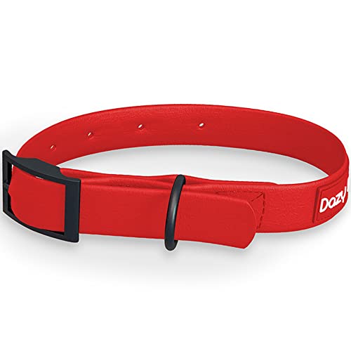 Dazy Dog Dura Allwetter-Halsband – langlebig – wasserdicht – geruchsfrei – stärker als Leder – leicht zu reinigen – hohe Leistung – Designer (klein, rot) von Dazy Dog