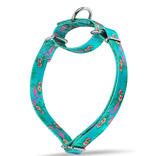 Dazzber Forest Elf Series Martingale Hundehalsbänder, seidig weich mit einzigartigen Mustern für mittelgroße und große Hunde (klein, breit, 1,6 cm, rosa Flamingo) von Dazzber