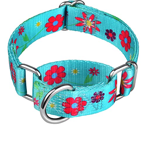 Dazzber Hundehalsband mit Blumendruck, Martingale-Halsband, kein Ziehen, strapazierfähig, verstellbar, Größe XS, Halsumfang 20,3 - 27,9 cm, Sonnenblume (Blaugrün) von Dazzber