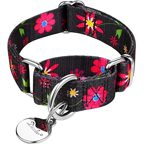 Dazzber Martingal Halsbänder für Hunde, Einstellbar-Heavy Duty- Weiche-Glatte-Leichtes Gehen Sie den Hund für Große/Klein Hunde (Extra Klein, 1.5cm Breit, Schwarz) von Dazzber